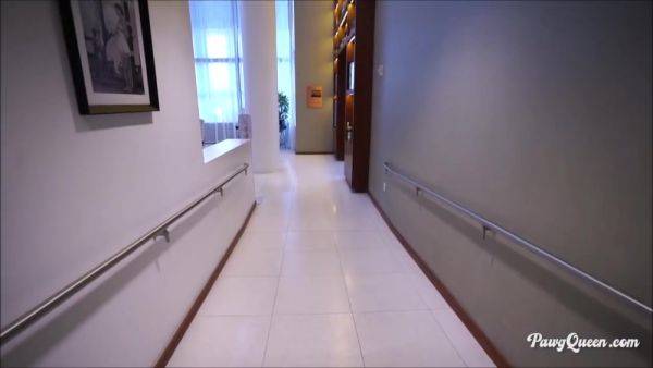 Enjoy watching the complete scene named : Ryan Smiles Face Sitting at PAWGQueen