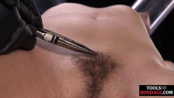 Enjoy watching full video of : BDSM hairypussy GF screams and suffers hair pulling