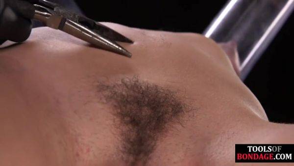 Watch complete scene : BDSM hairypussy GF screams and suffers hair pulling