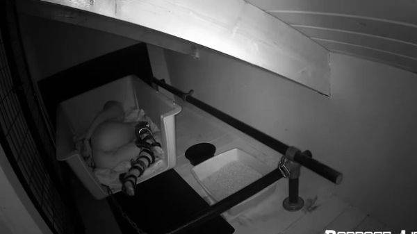 Stream this hardcore video of : Amateur Hidden Cams Reveal Cock Riding Hoes