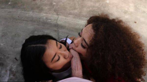 Watch this hardcore scene : REALITY KINGS - Willow Ryder Ameena Green Try To Have