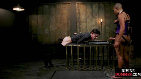 Enjoy watching this hardcore video named : CFNM pegging domina fucks sub asshole in BDSM action