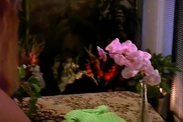 Stream this full scene called : Crazy Adult Scene Big Dick Crazy Pretty One