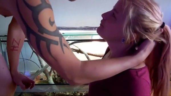 Stream this complete scene : Perfect Girl