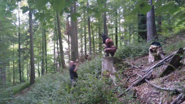 Watch the complete video called : With A Bunny Mask And A Dog Collar Around My Neck