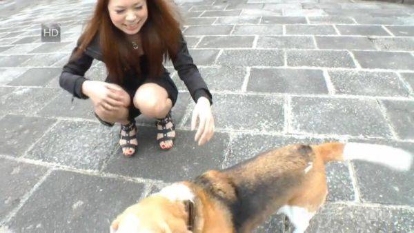 Stream uncut scene : Miharu Kai If My GF Was Miharu Kai... - Caribbeancom