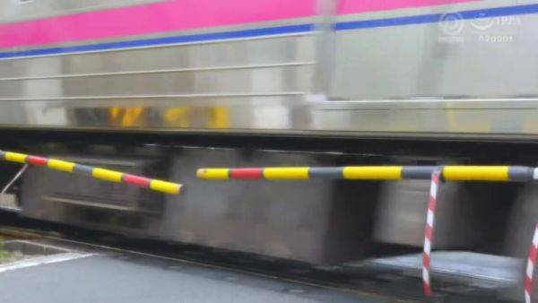 View this HD video of : 0004354_Japanese_Censored_MGS_19min