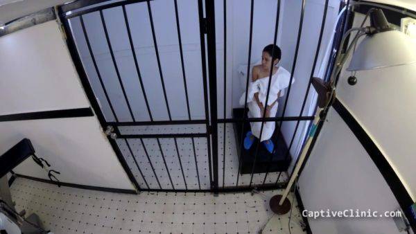 Enjoy watching full scene titled : Fraternal Fun - Michelle Anderson - Part 1 of 6 - CaptiveClinic