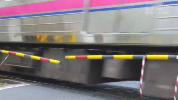 View this HD clip : 0004360_Japanese_Censored_MGS_19min