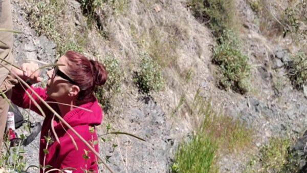 Watch the uncensored movie of : Got Caught Sucking His Cock As He Came In My Mouth Hiking