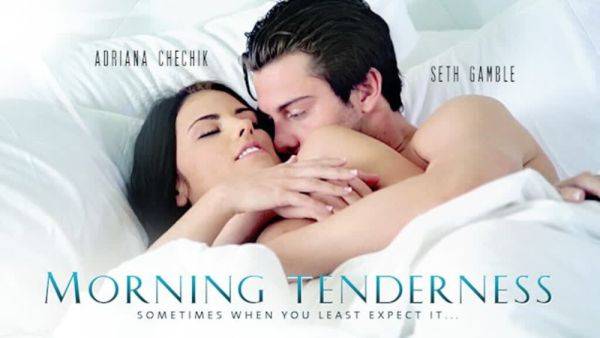 Beautiful Adriana Chechik Early Morning Romp wt BF - txxx.com on pornsfind.com