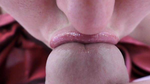 My wife gives a great closeup blowjob - drtuber.com on pornsfind.com