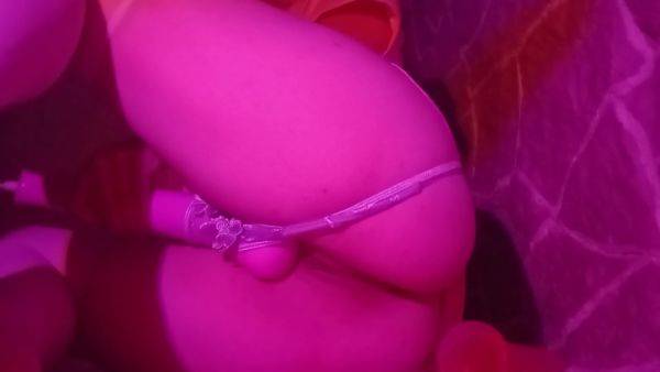 Stream the uncut scene : Fodendo Meu Cu Com Um Vibrador Na Calcinha