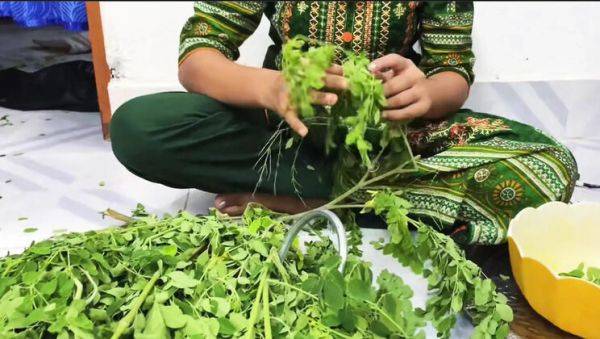 Watch hardcore video called : Desi Bhabhi Riya Chowdhury Romantic Hardcore Fuck with Kaleonjoybd - Blowjob, Cowgirl, Doggy Style in HD