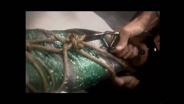 Enjoy watching the uncut movie : Evan Stone and Kylie Ireland in Vintage Art of Blowjob and Anal HD Video