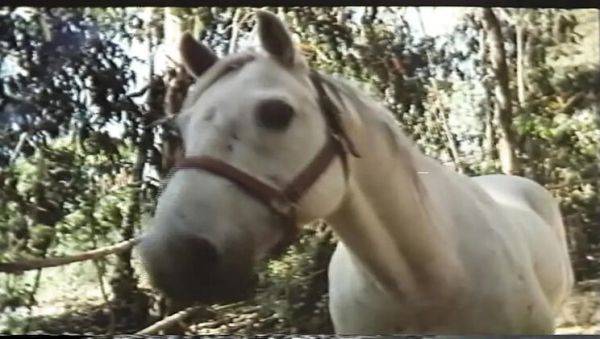 Enjoy watching uncensored scene : Desiree Cousteau Golden Age MILF Big Tits Hardcore Cumshot Orgasm HD