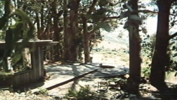 View this uncensored movie called : Annette Haven Golden Age MILF Hardcore with Cumshot and Big Tits