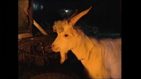 Play hardcore scene titled : Naked Woman On Fire Vol.4 Full Movie - Claudia Jamsson, Karli Sweet, Backey Jakic Anal, Big Tits, Blowjob, HD Vintage