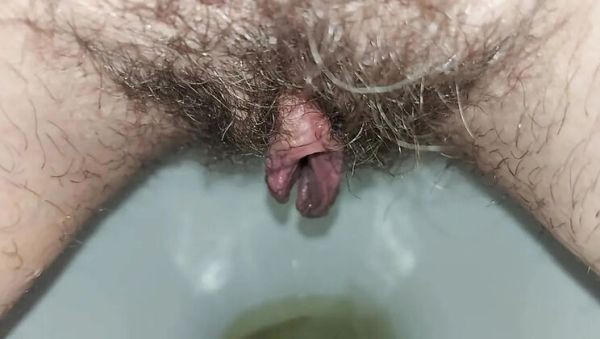 Watch this uncensored video titled : Hairy Housewife GinnaGg Pissing Close Up Toilet Pee Play