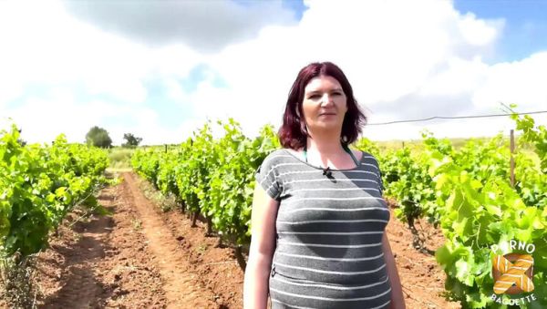 Watch the uncensored video named : Leila the Hot Brunette MILF Gets Banged Hard in a Steamy Threesome Casting