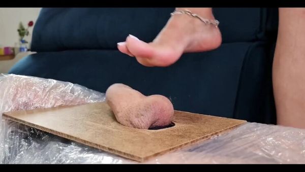 Enjoy watching the uncensored clip named : KiffaFeet Latina Goddess Stomps Slave Cock - Rough Footjob & Fetish Trampling