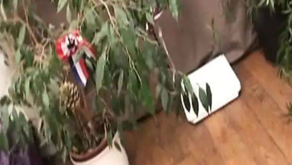 Stream uncut clip : Sexy French MILF Love Crystale Gets Hardcore Anal Fuck by Young Stud