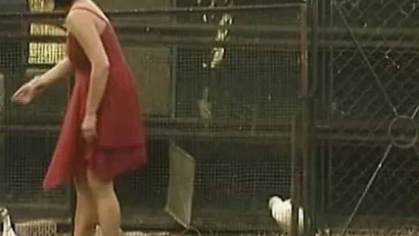 Stream uncut movie : Hot German babes in wild foursome - anal, blowjob & hardcore action