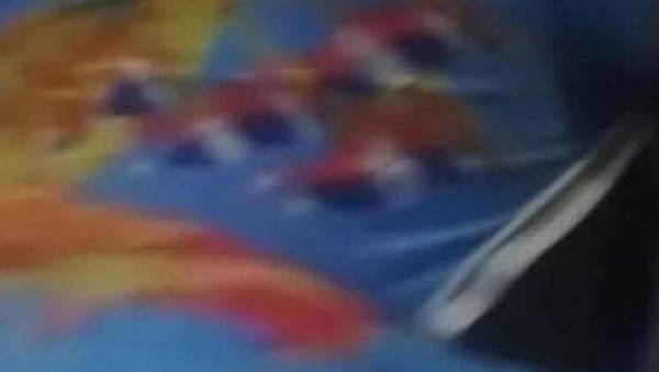 Stream HD scene : Hot ebony amateur rides big black cock - homemade sex