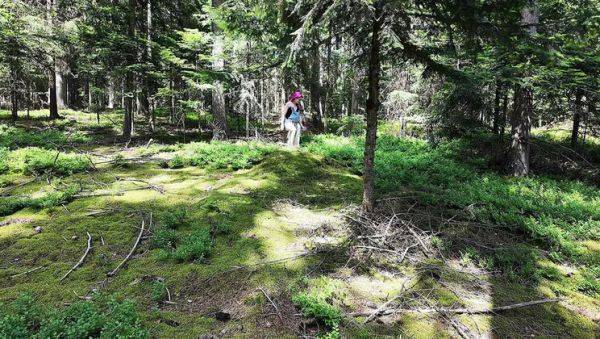 View the uncut movie called : Wild French lesbians make out & eat pussy in the forest - Alt girls outdoor sex