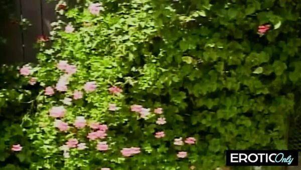 Stream this uncut video : Big Tits MILF Ass Up Face Down Screaming for Daddy - Chris Cannon Hardcore