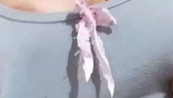 Enjoy watching this HD scene named : Kaith Saumeth Latina Solo - Huge Hairy Pussy Creams Thick Milk