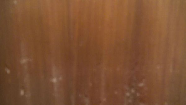 Stream the HD scene called : Souzan Halabi First Time Blowjob in Kitchen - Amateur Arab Teen Hijab Girl Dirty Talk Close Up 4K