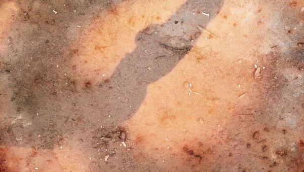 Play the hardcore scene : Wild Orgy with Magnificent Babes Lucy Belle & Rubi Diamond - Anal Gangbang DP