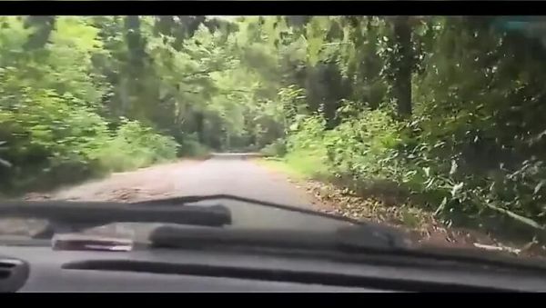 Play complete scene named : Bruxo Fire Bangs Latina in Forest Milk Bath - Outdoor Doggy Style & Blowjob