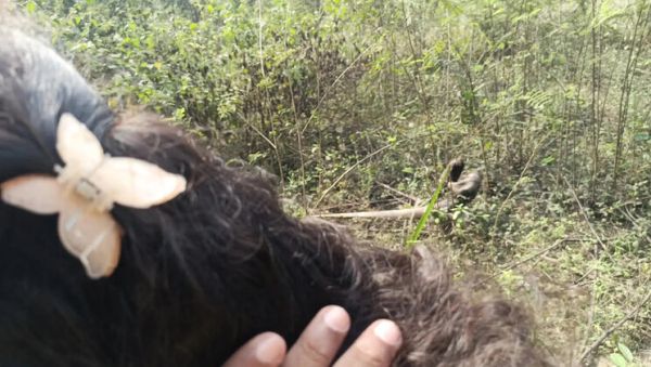 Stream this full scene : Step Brother Fucks Hot Indian Maid Laxi Ammu in Jungle Fantasy 4K