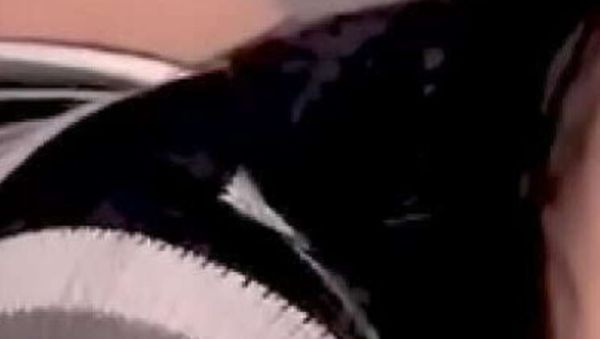 Enjoy watching the uncensored scene of : Nabe Girl Tapatia Bitch Fucked Hard Doggystyle By Nabe Boy - Latina Brunette Petite with Huge Ass Moaning