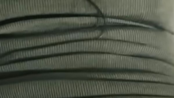 Stream this hardcore scene of : Roxy Martinez My Wife On All Fours Wants Another Cock - Latina Perfect Ass Curvy Body