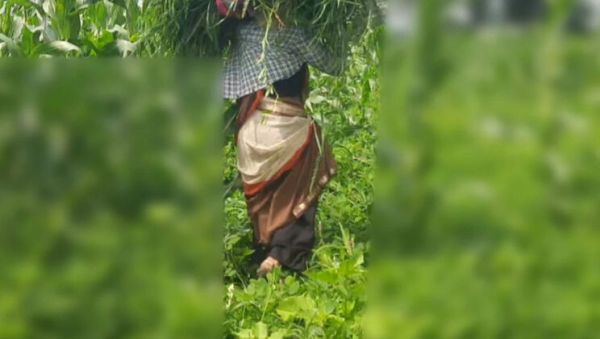 Enjoy watching the HD movie titled : Desi Bhabhi Outdoor Fuck with Devar in Jungle - Sukunmi & Dewaif Public Sex