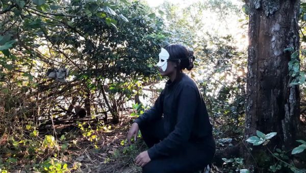 Stream hardcore movie titled : Novinha Insaciavel Takes Me to the Woods for a Wild Anal Creampie - Amateur Latina Big Ass