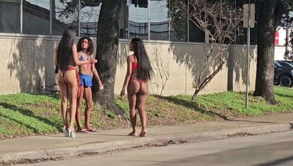 Play HD video named : Petite Babe Rose Gives Blowjob & Doggystyle - Tight Pussy, Big Booty Riding