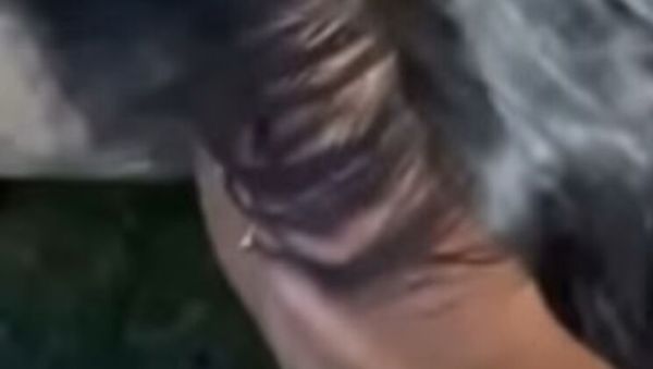 Play the hardcore scene titled : POV Blowjob with Keisha Minaj - Public Deep Throat on a Huge 11 Inch BBC