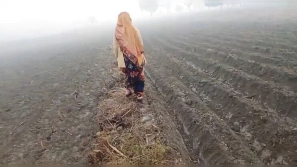 Play HD video titled : Desi Bhabhi Fucked Hard in Sugarcane Field – Hot Indian Village Sex