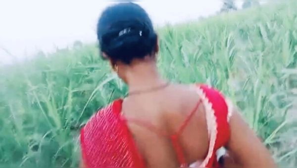 Stream full clip called : Hot Bhabhi Fucked in Village Field in Doggy Style